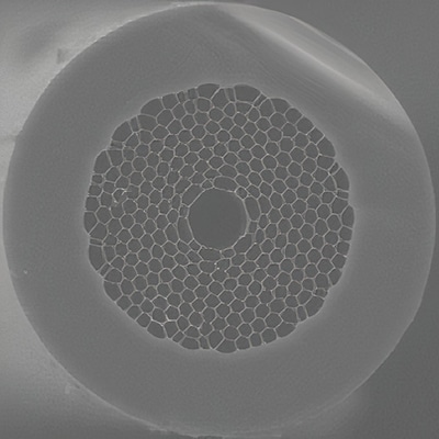 Hollow-Core-Photonic-Bandgap-Fiber Hollow-Core-Photonic-Bandgap-Fiber